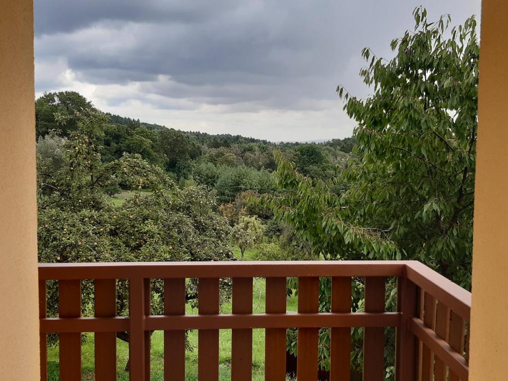 Příroda nedaleko apartmánu