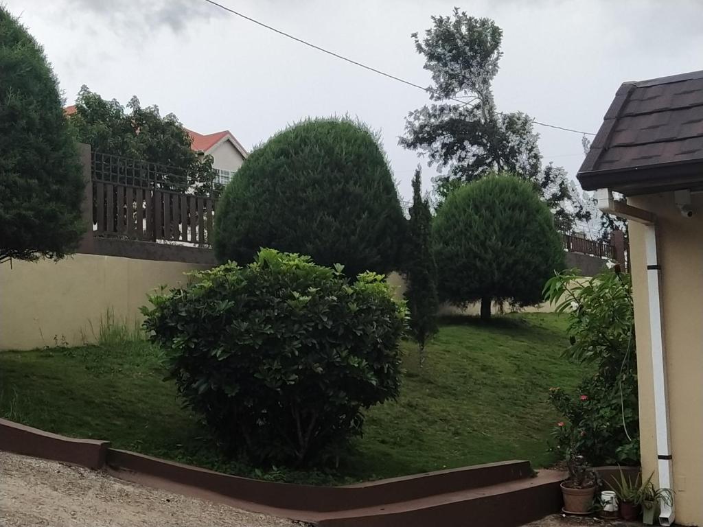 Zahrada ubytování Gables Vacation Rentals with Private Gated Parking Onsite