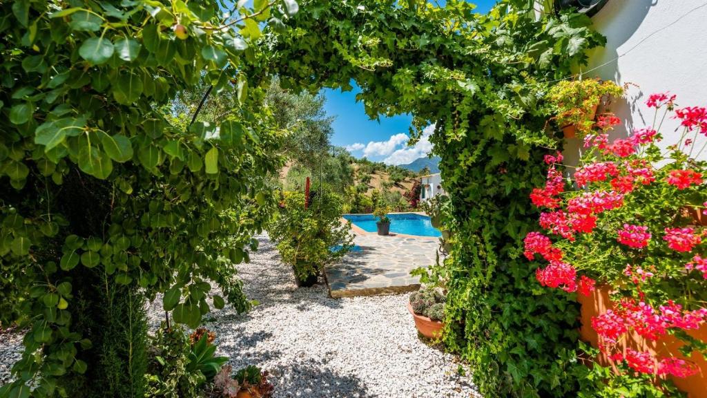Vonkajšia záhrada v ubytovaní Casa Los Cactus El Gastor by Ruralidays