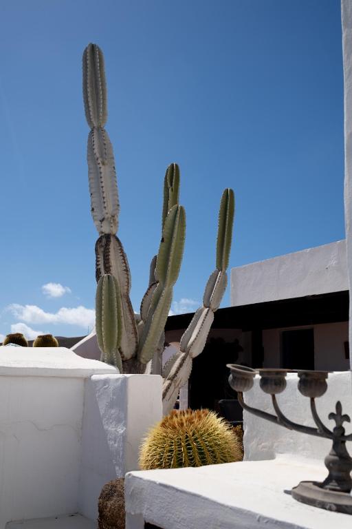 Fotografie z fotogalerie ubytování Casa Camella v destinaci Mácher
