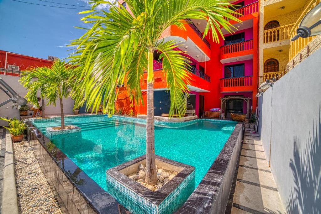 einem Pool mit einer Palme vor einem Gebäude in der Unterkunft Zihua Mia Hotel Boutique in Zihuatanejo