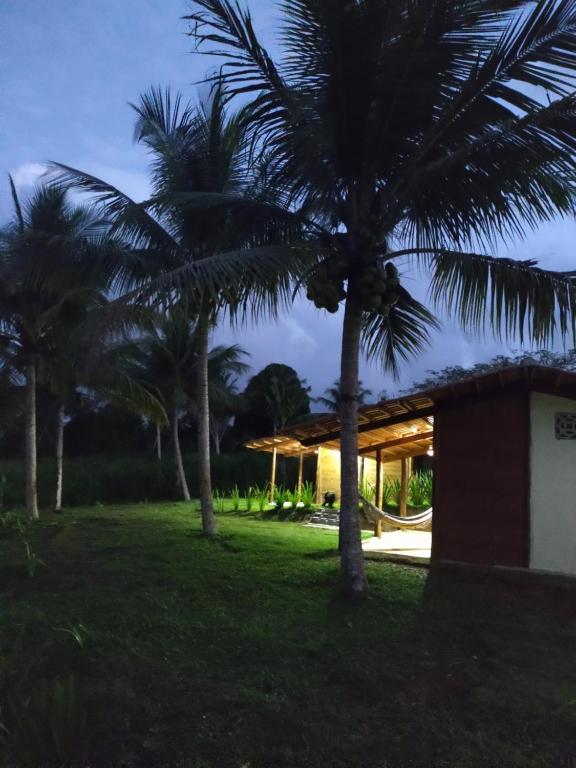 a group of palm trees in front of a house at Pousada Rancho Sêmani in Itacaré