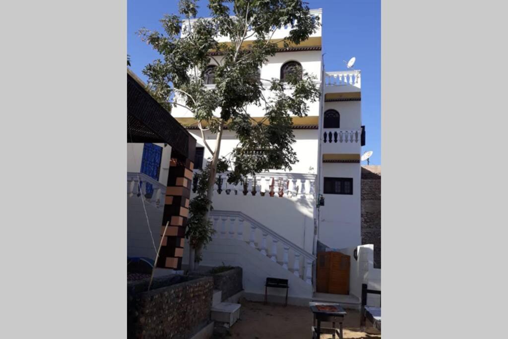 a white building with a tree in front of it at Private House with Garden and terrace in Aswan in Aswan