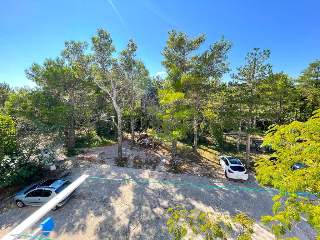Příroda nedaleko apartmánu