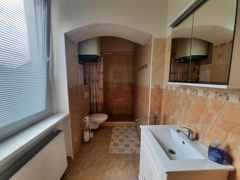 Koupelna v ubytování Apartmány U sv. Anny