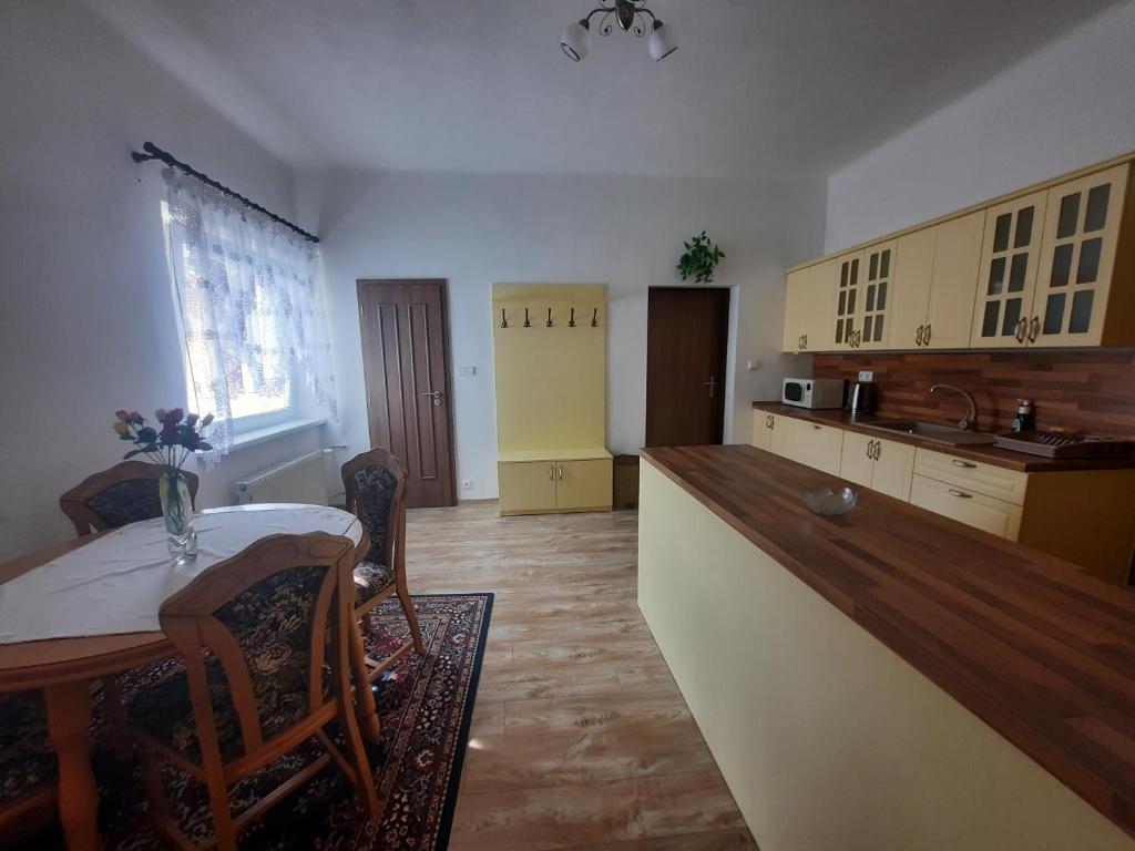 Kuchyň nebo kuchyňský kout v ubytování Apartmány U sv. Anny