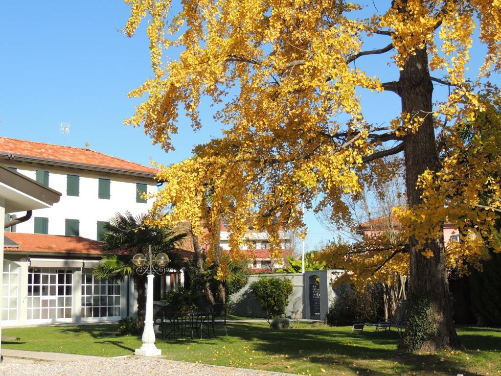 a tree with yellow leaves in front of a building at Ginkgo Guest House in Ronchis