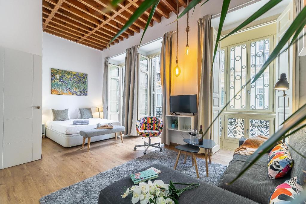 Apartamentos Calle Larios