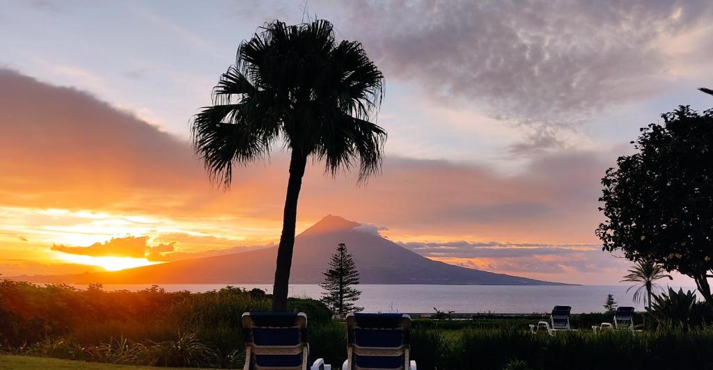 a palm tree and chairs in front of a mountain at Vila Odette in Horta