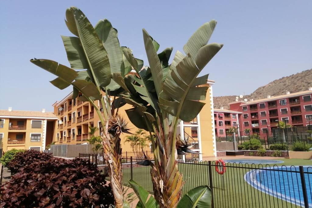 Πισίνα στο ή κοντά στο Beautiful apartment with pool in Palm Mar