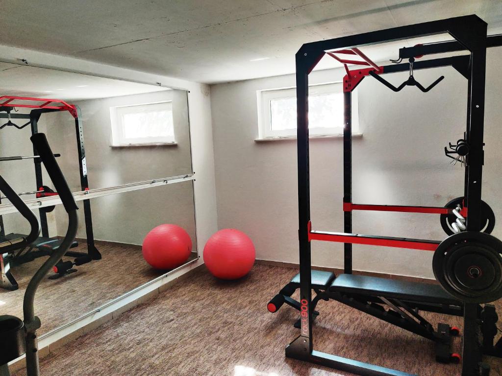 Fitness centrum a/nebo fitness zařízení v ubytování Dali Apartment Szentendre