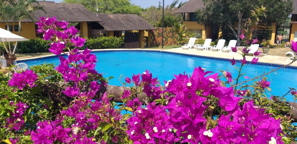 a swimming pool with purple flowers in the foreground at Winterville Flat 213 in Gravatá