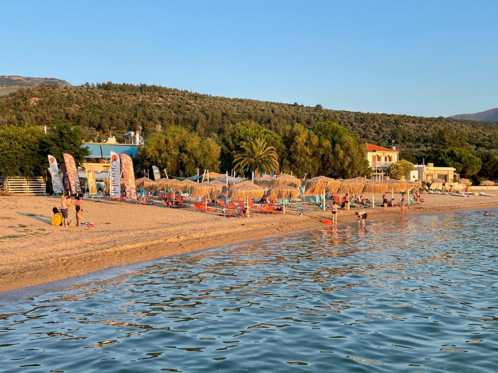 Príroda v okolí apartmánového hotela