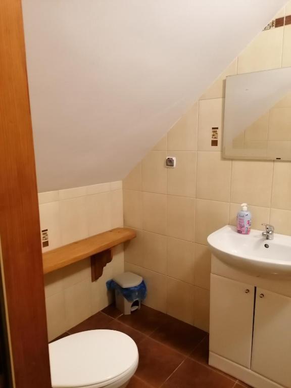 a bathroom with a toilet and a sink at Pokoje Gościnne Alexandra in Stronie Śląskie