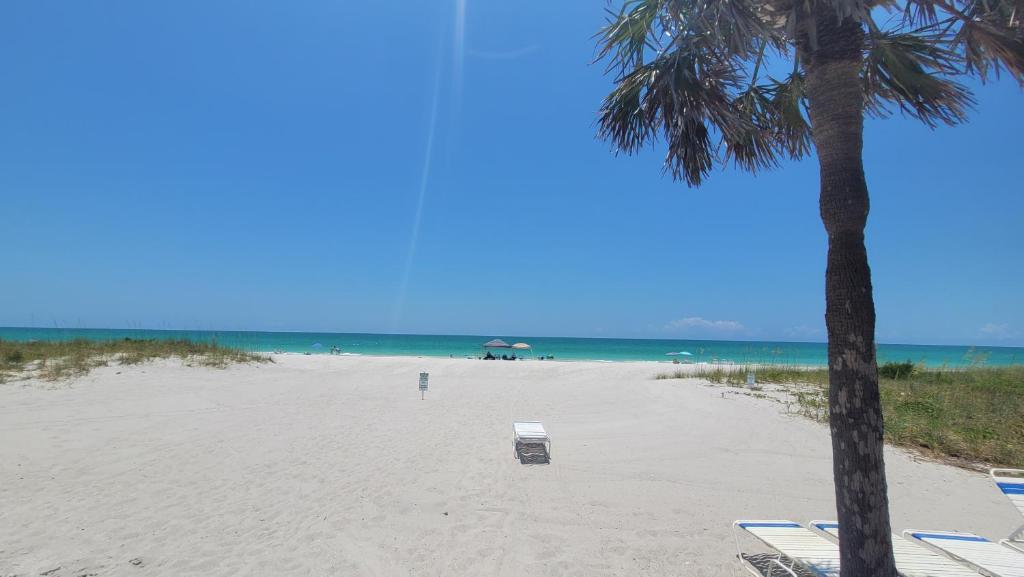 a beach with chairs and a palm tree and the ocean at Beach Front Condo Paradise. Ground Floor.Studio. in Longboat Key