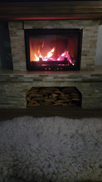 Fotografie z fotogalerie ubytování Vila Pestera v destinaci Peştera
