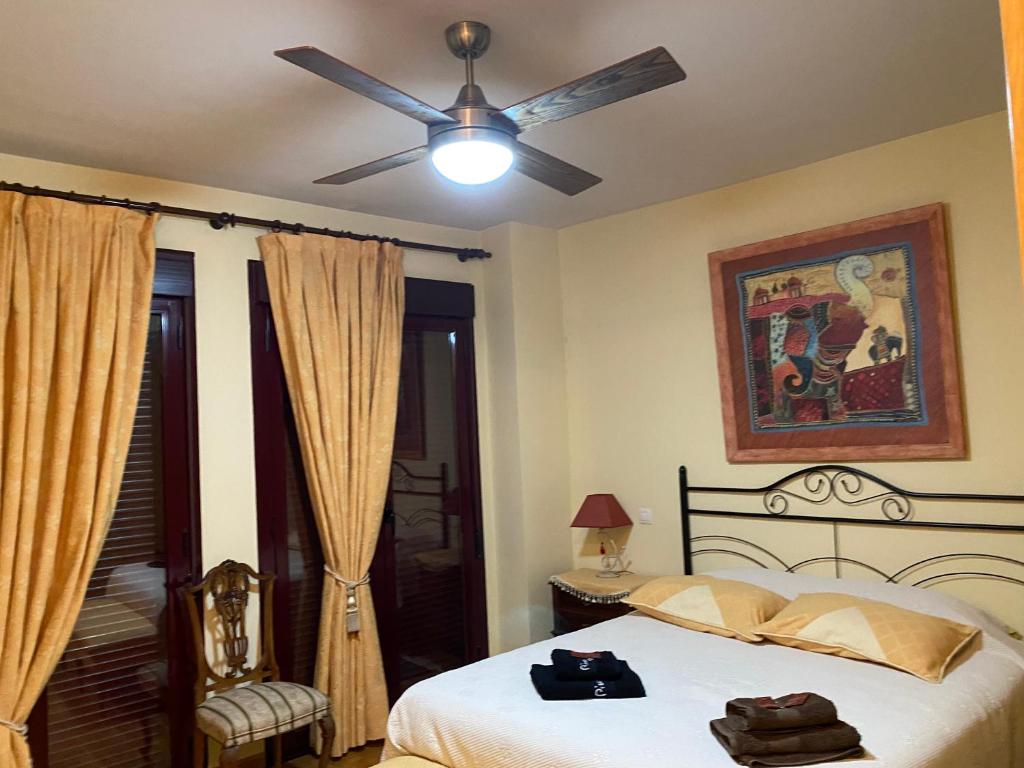 una camera con letto e ventilatore a soffitto di Naturaleza Soria Parques Naturales a San Esteban de Gormaz