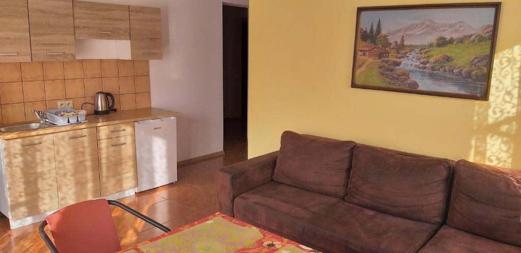Kuchyňa alebo kuchynka v ubytovaní Apartamenty u Ani