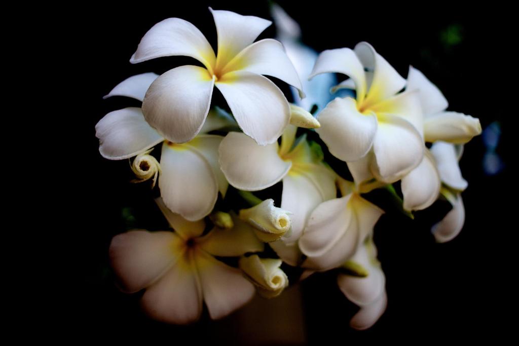 Asia Hotels Group (Poonpetch Chiangmai) - Resim 27