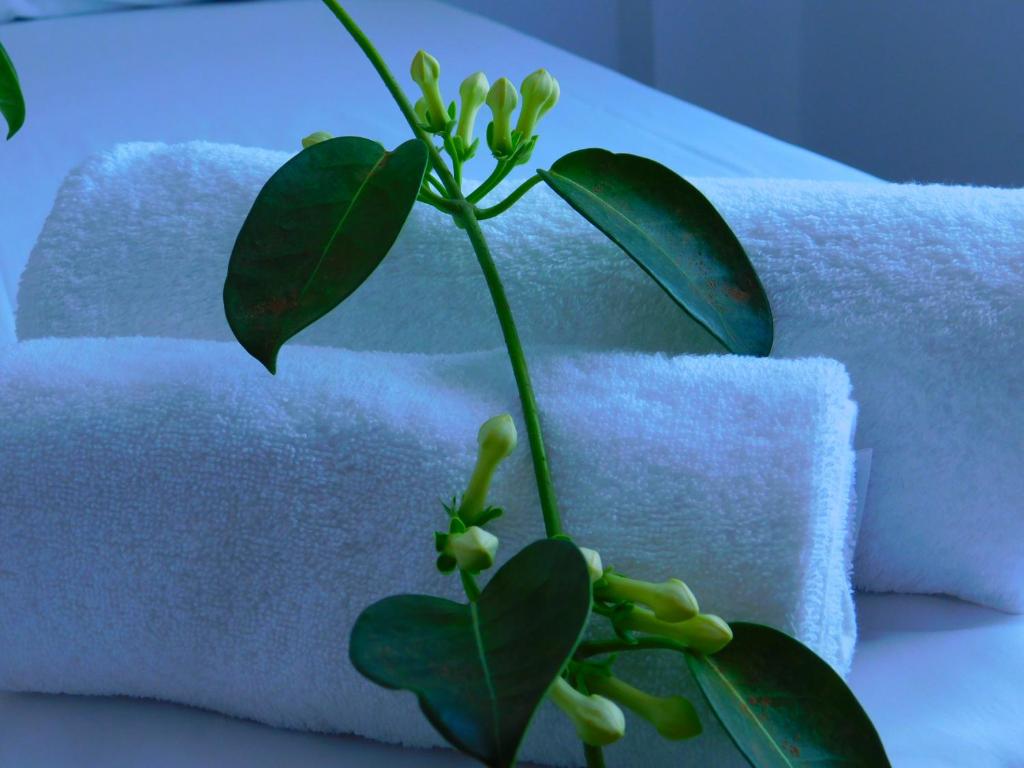 Posteľ alebo postele v izbe v ubytovaní AKTIS MAKRIGIALOS LUXURY APTS