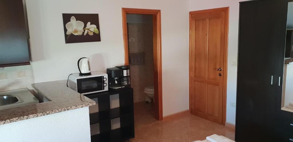 Kuchnia lub aneks kuchenny w obiekcie Apartmani Citrus Novigrad