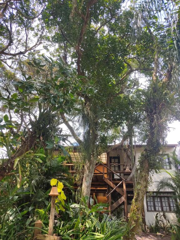 グアルダ・ド・エンバウーにあるNalua Guest Houseの庭の木のある家
