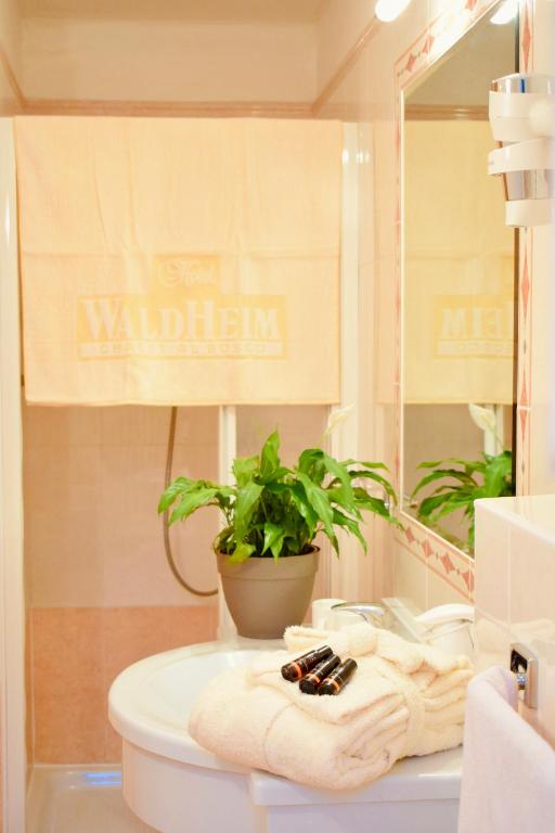 Koupelna v ubytování Hotel Waldheim