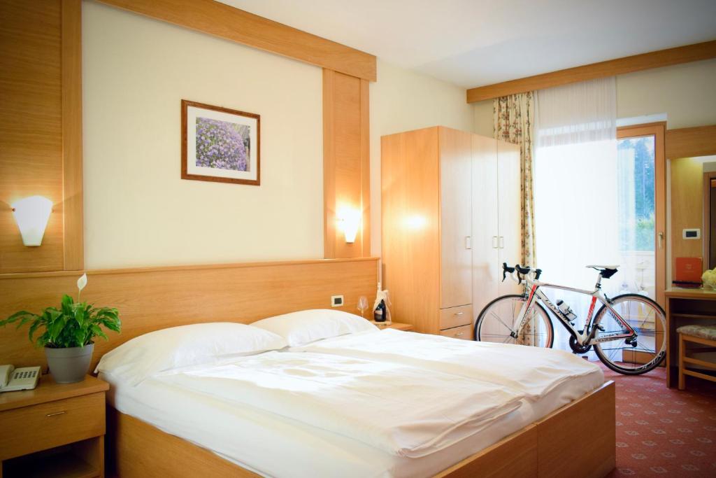 Jízda na kole v ubytování Hotel Waldheim nebo okolí