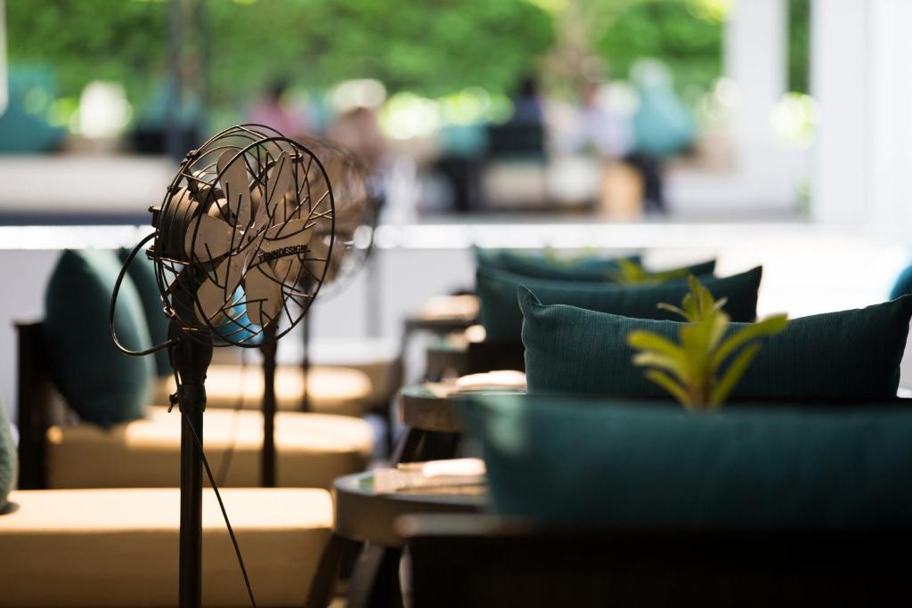 Nap Patong - Resim 32