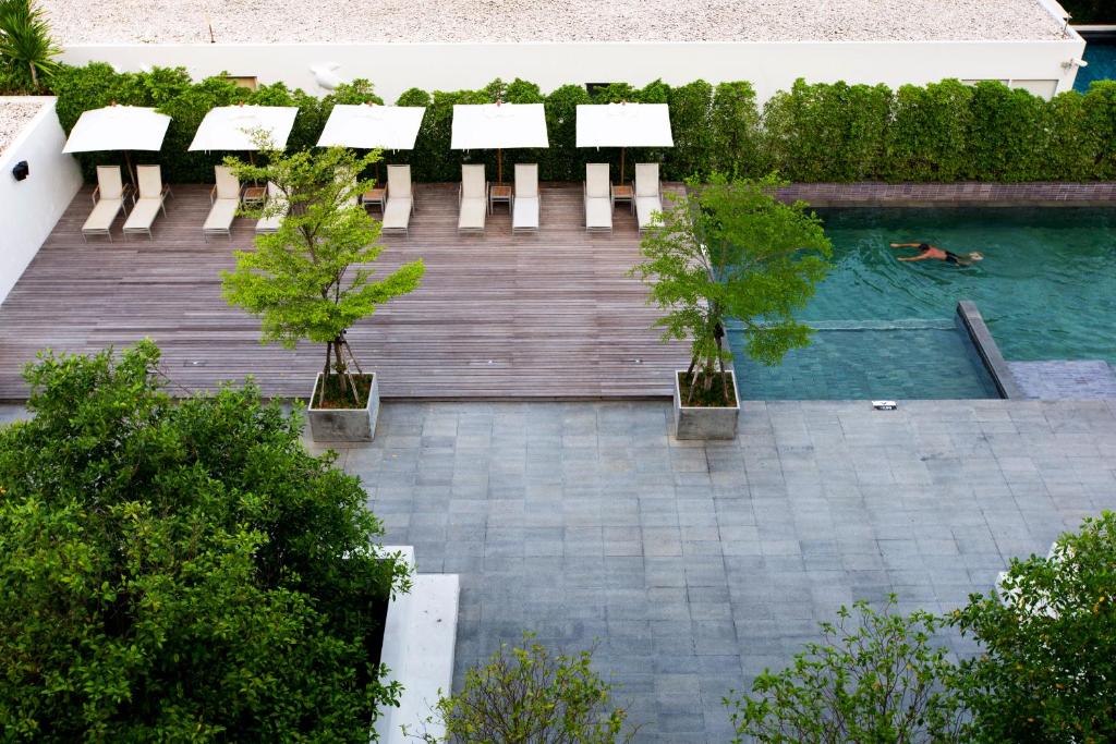 Nap Patong - Resim 17