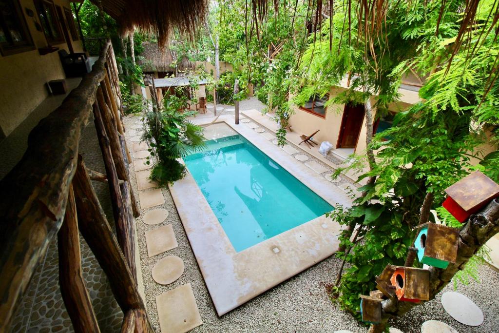 Bazén v ubytování La Selva Apartments Tulum nebo v jeho okolí