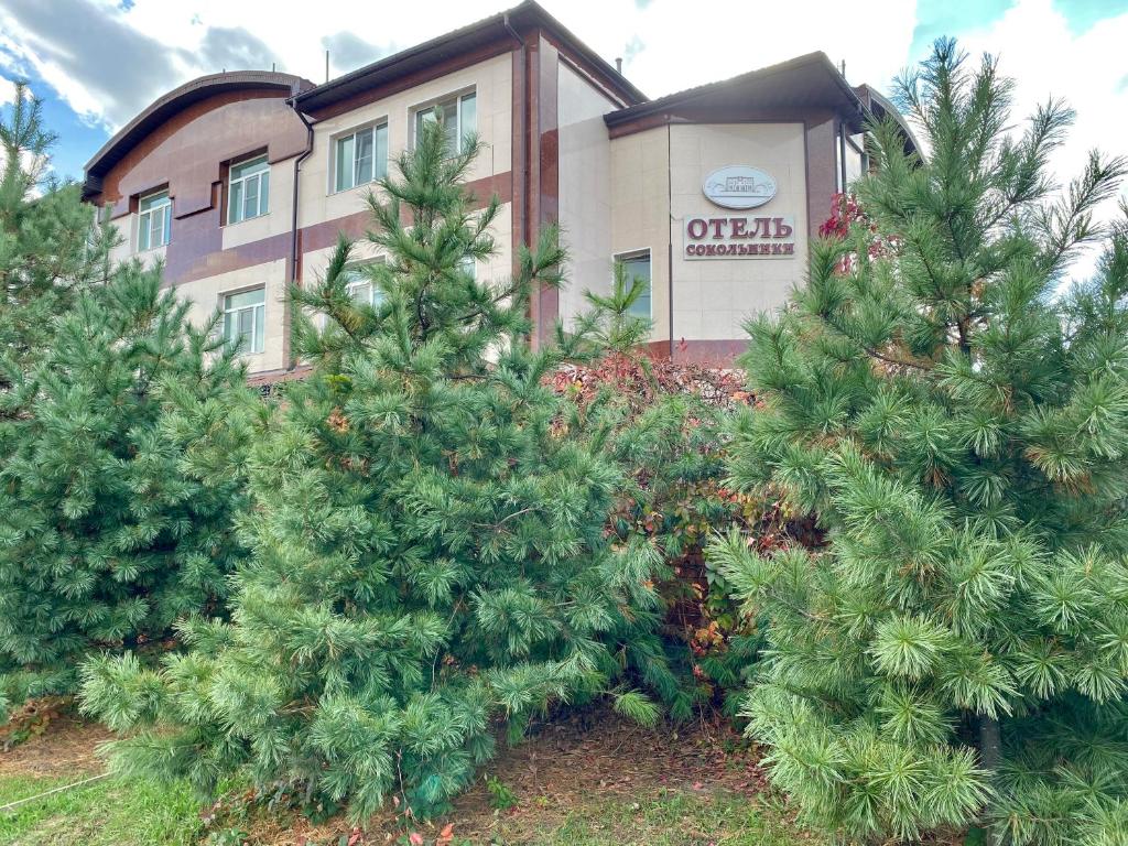 a group of pine trees in front of a building at Sokolniki Hotel in Khabarovsk