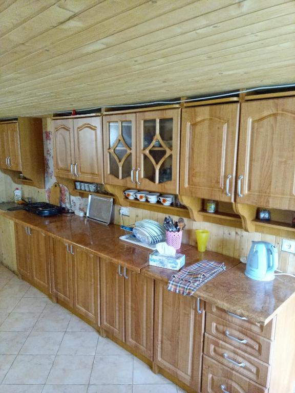 Kuchyň nebo kuchyňský kout v ubytování Sadyba u Vani