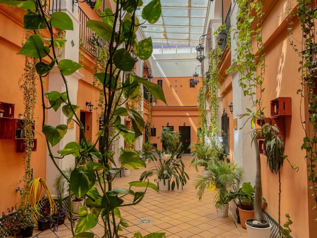 um corredor cheio de plantas num edifício em Alojamiento Rural Flamingo em El Rocio
