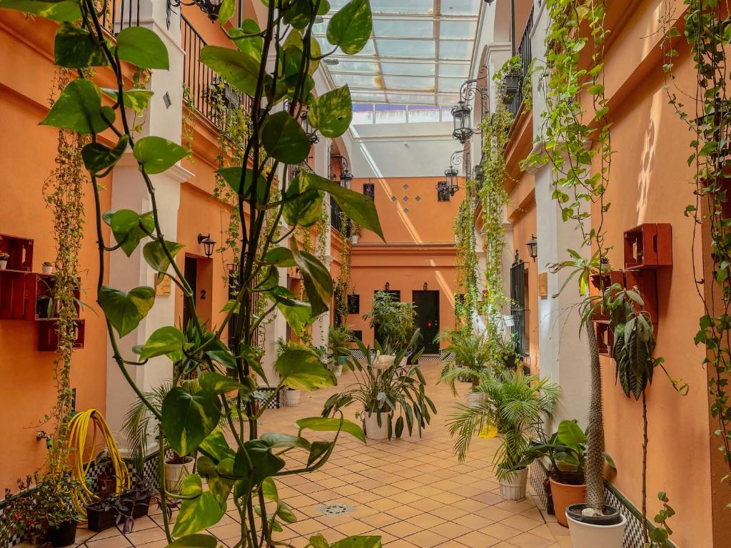 Alojamiento Rural Flamingo, El Rocío – Precios actualizados 2023