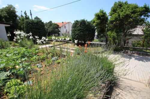 Zahrada ubytování Apartments in Jadranovo 39264