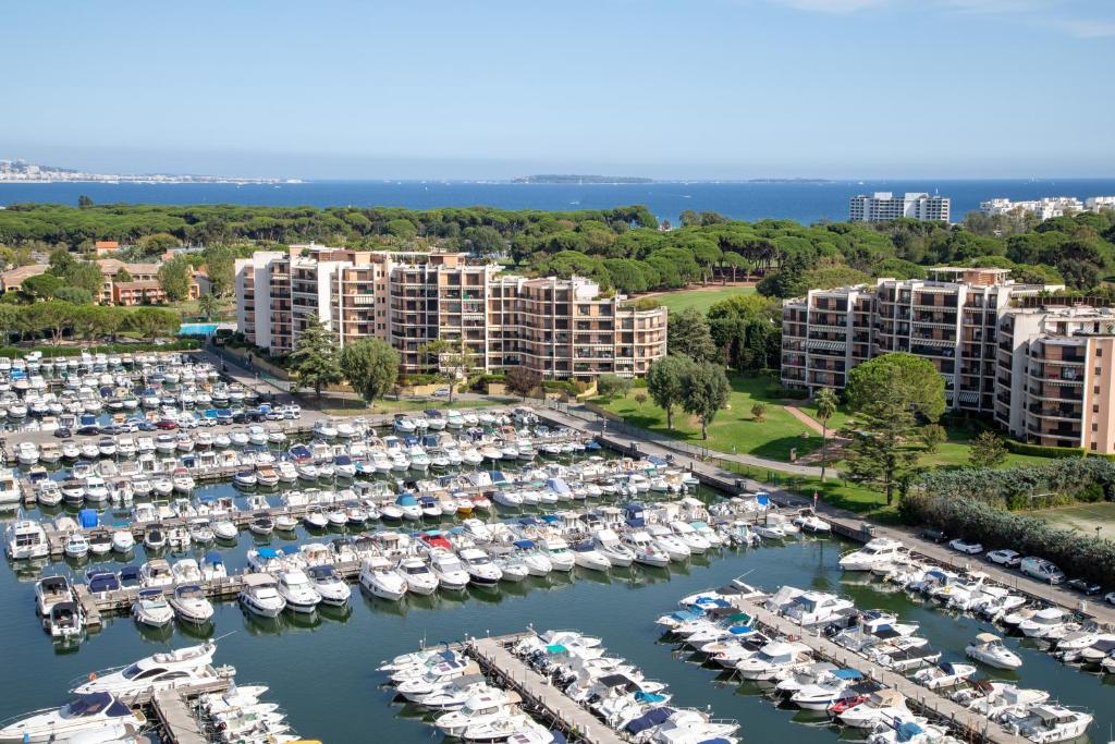 z powietrza widok na przystań z łodziami w obiekcie Cannes Marina suite vue mer w mieście Mandelieu-la-Napoule