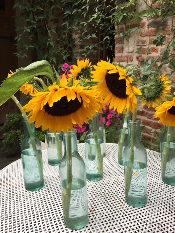 A L'ecole Buissonniere - 14