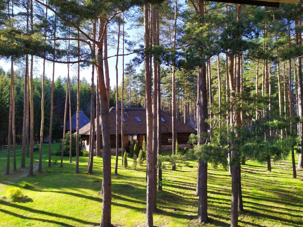 a house in the middle of a forest of trees at Gungas in Ādaži