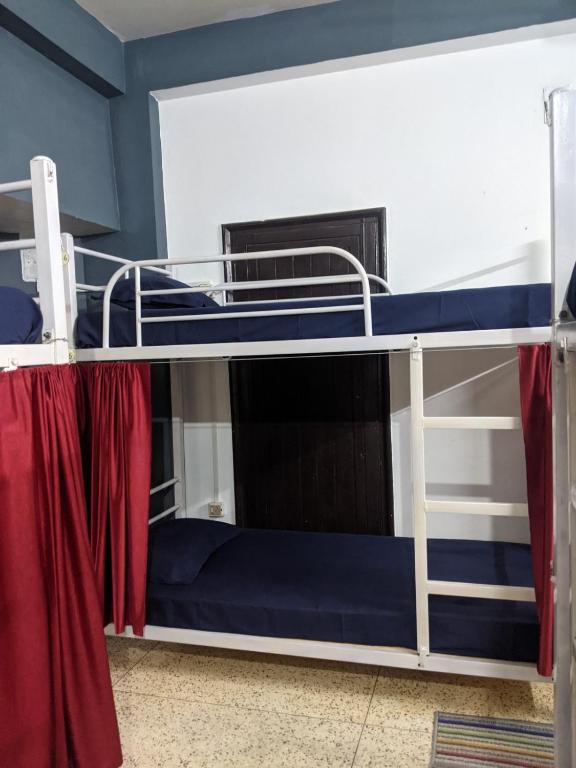 Palanda nebo palandy na pokoji v ubytování Mezenga Backpackers