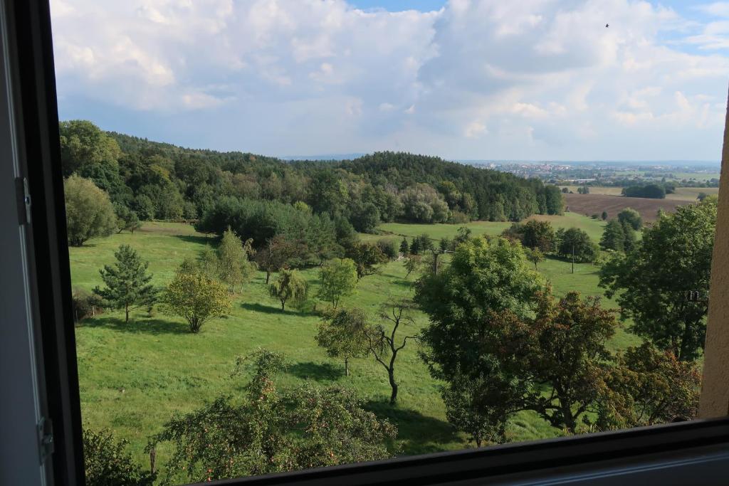 Příroda nedaleko apartmánu