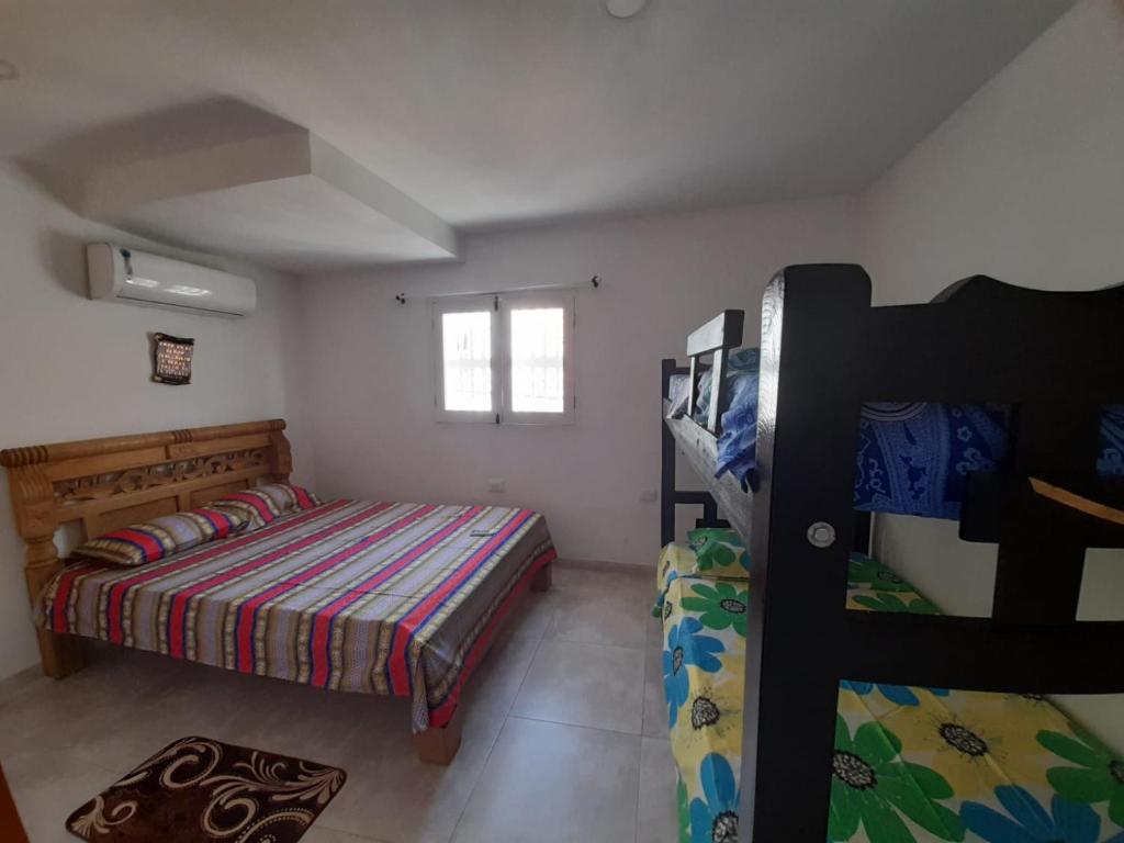 Hostal Casa Mathias في كارتاهينا دي اندياس: غرفة نوم مع سرير وسرير بطابقين