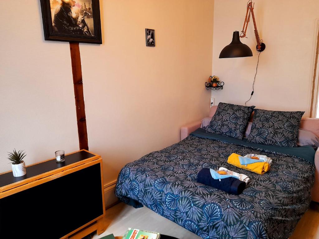 Chaleureux studio en rez de chaussée - Error