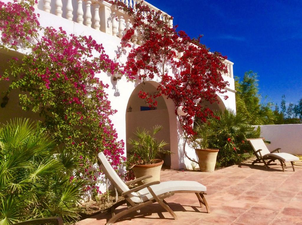 un patio con flores y sillas y un edificio en Maison d'Hote Domaine El-Manar, en Zarzis