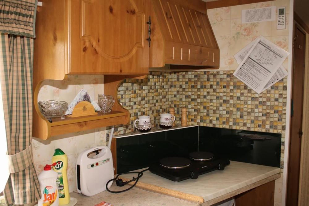 Kuchyň nebo kuchyňský kout v ubytování Mobilní domek Boskovice