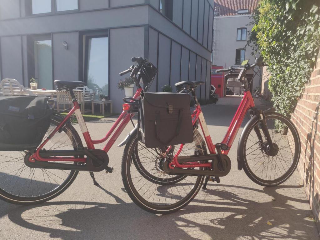 Jízda na kole v ubytování Alpha Hotel and Aparthotel nebo okolí