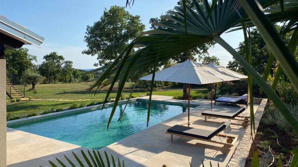a pool with two lounge chairs and an umbrella at Casa Conte Istria in Kanfanar