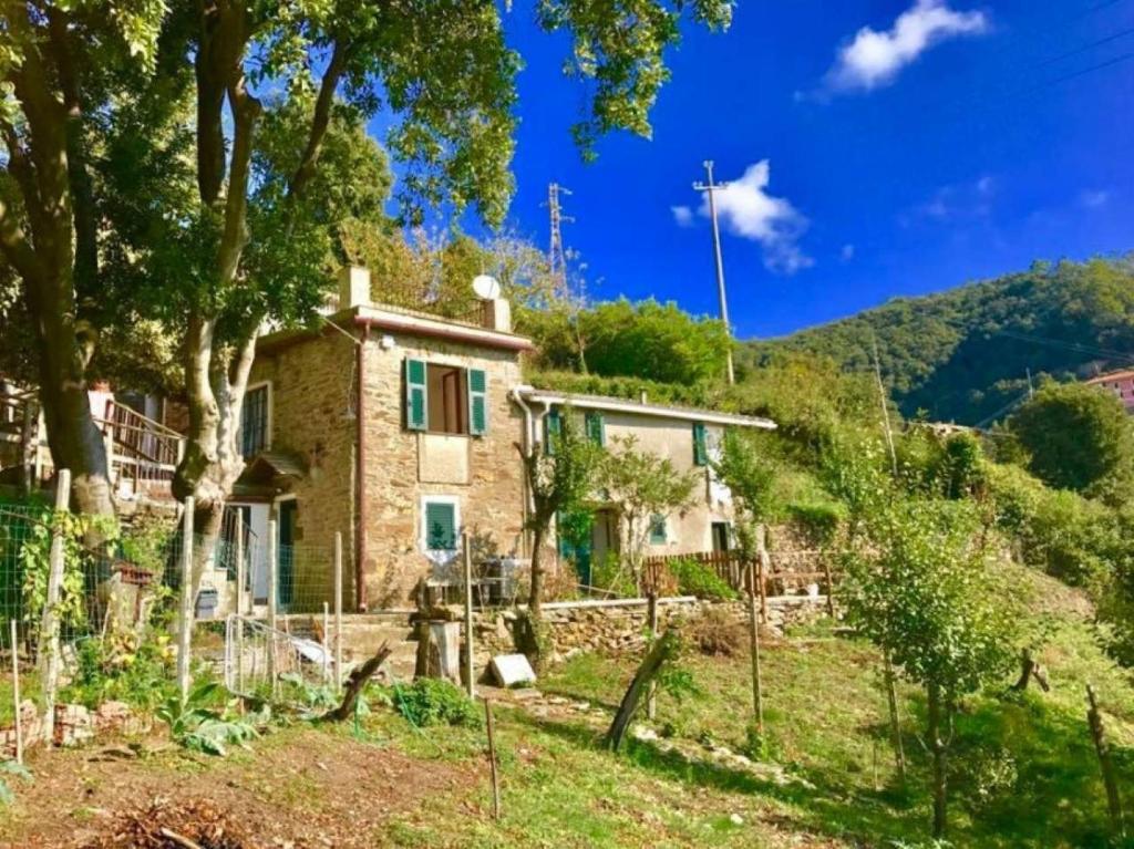 une maison sur le flanc d'une colline dans l'établissement La quiete accesa, à Vernazza