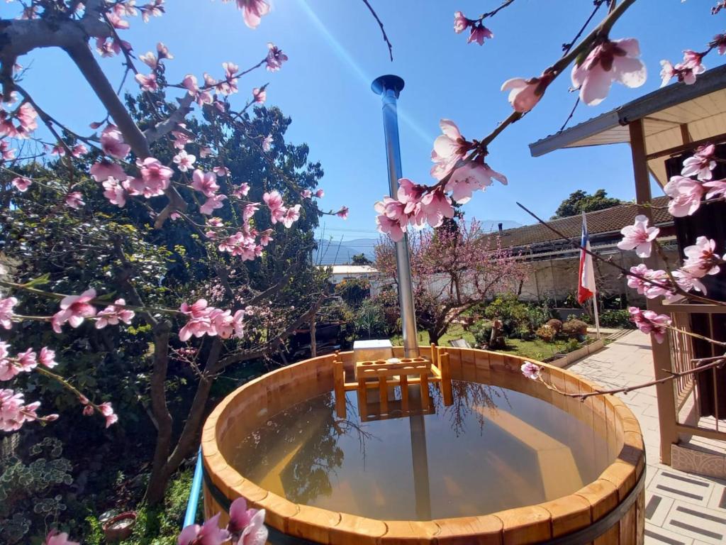 Um jardim no exterior de Beolmuelodge