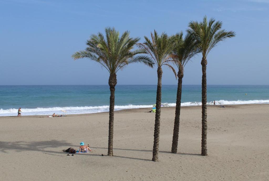 un grupo de palmeras en una playa en OCEAN APARTAMENT !! 1ª Línea del Mar, piscina, parking, wifi, en Mojácar